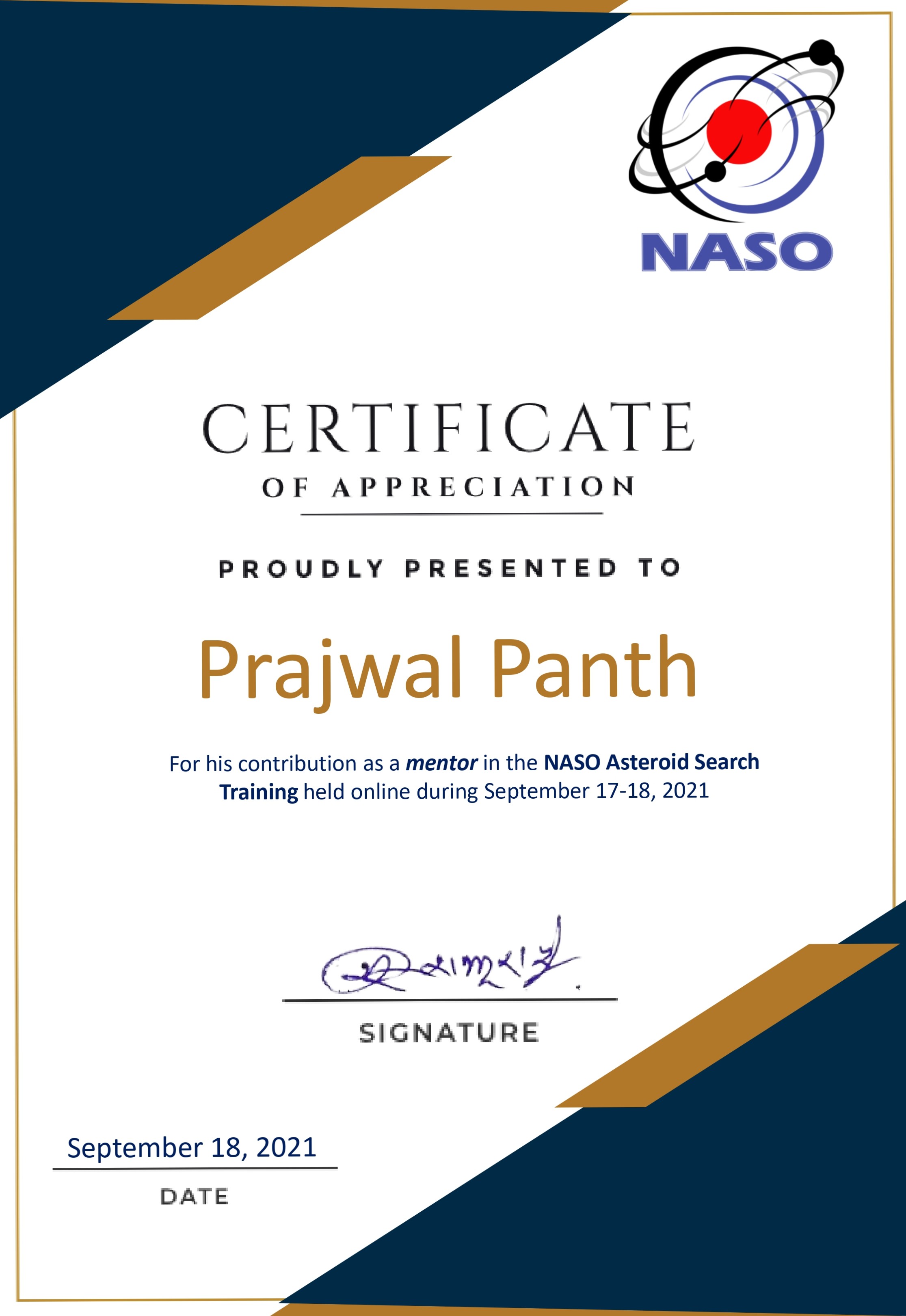 Mentorship at NASO Asteroid Search Training